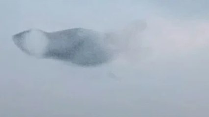 Binlerce sığırcık kuşunun görsel şöleni büyüledi