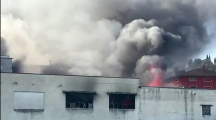 Citt? di Castello, incendio nell'azienda "Ivo Alberti" di Lerchi