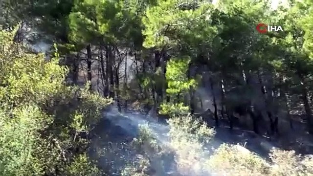 Antalya’da kopan yüksek gerilim hattı orman yangınına neden oldu