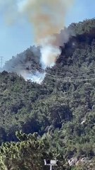 Antalya'da kopan yüksek gerilim hattı orman yangınına neden oldu