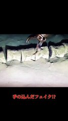 世界で発見された 謎の巨大物体の痕跡