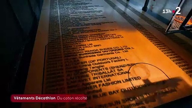 Le distributeur Decathlon accusé par le média Disclose et l’émission de France 2 Cash Investigation d’avoir pour sous-traitant en Chine une entreprise liée au travail des Ouïghours - VIDEO