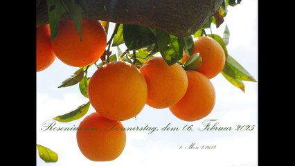 Rosenius am Donnerstag, dem 06. Februar 2025, zu 1. Mose 2,16.17