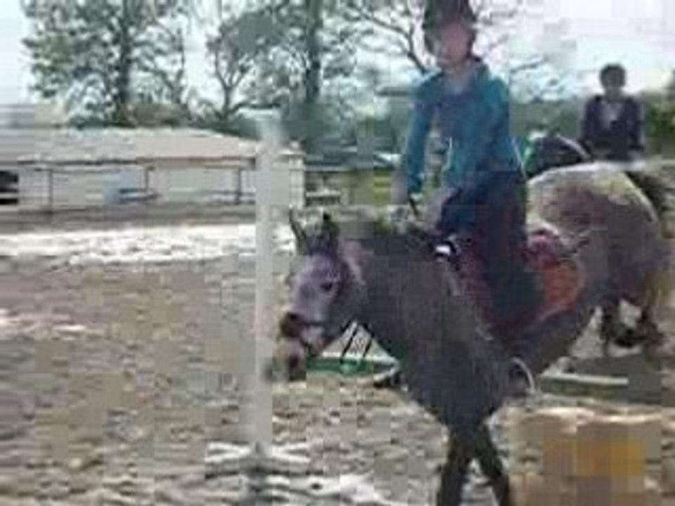 Biich et moi (L)