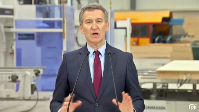 Feijóo sobre la dimisión del hermano de Sánchez