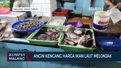 Angin Kencang, Harga Ikan Laut Melonjak