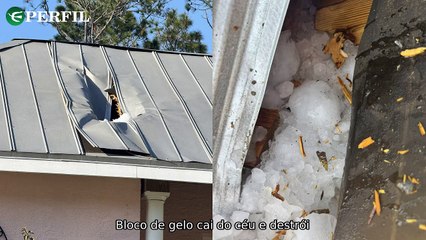 "Escândalos e polêmicas: gelo, conspiração e transgêneros no governo dos EUA"