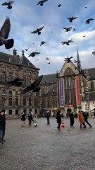 ENVOL SPECTACULAIRE sur la Place Dam d’Amsterdam