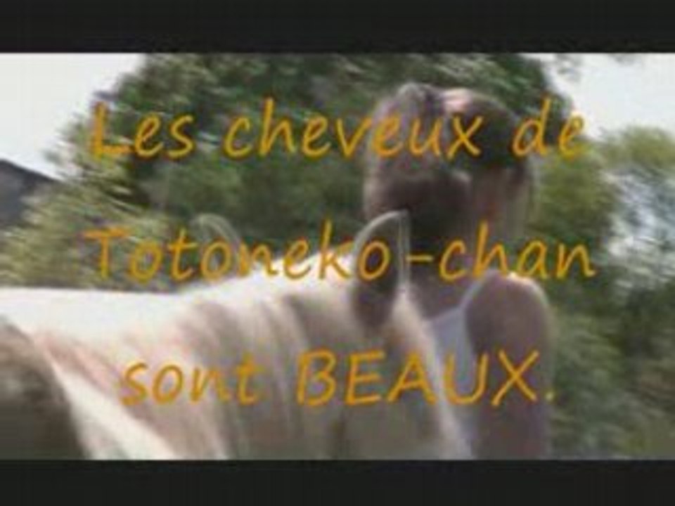 Totoneko-chan - Le Film