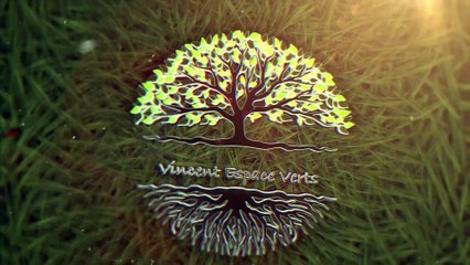 Vincent Espace Verts - Déracinement