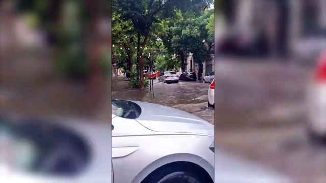 Calles colapsadas y árboles caídos luego de la tormenta en Rosario