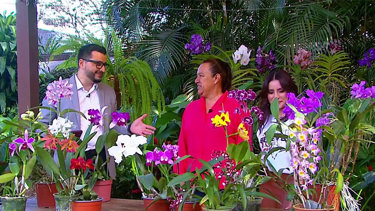 bd-decore-con-orquideas-060225