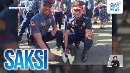 K-9 dog na si Tiger, kasama sa mahigit 200 police personnel na na-promote sa Rizal | Saksi