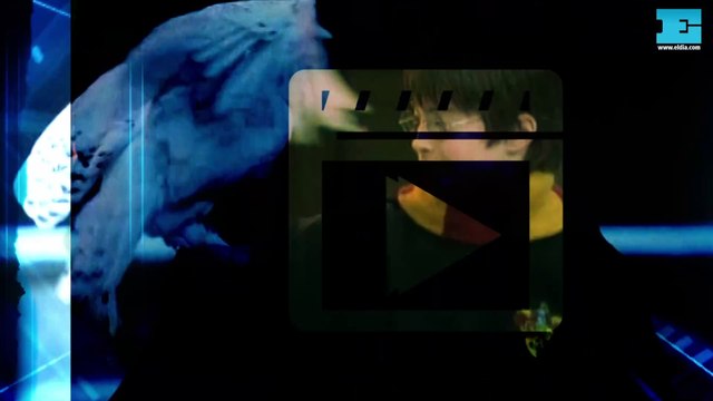 Una épica de inmigrantes para el Oscar, animación y más renuevan la cartelera de cine de La Plata