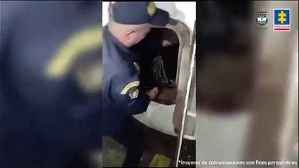 Nueva modalidad de tráfico trasnacional de estupefacientes: Polizones se ocultaron en un buque para llevar cocaína a Europa