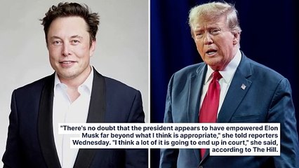 Elon Musk's Expanding Government Role 'Far Beyond' Appropriate, GOP Senator Warns