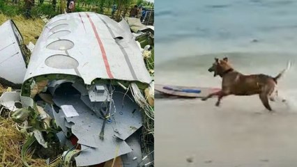 State of the Nation: (Part 2 & 3) Bumagsak sa palayan; Skimboarding dog; Atbp.