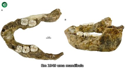 "Mandíbula revela nova espécie de hominídeo; dublador dos Simpsons teme IA; homem mata por atividade paranormal"