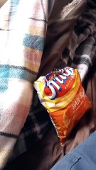 proof we live in at least a partial simulated reality.my shop weasel shrodengers test.