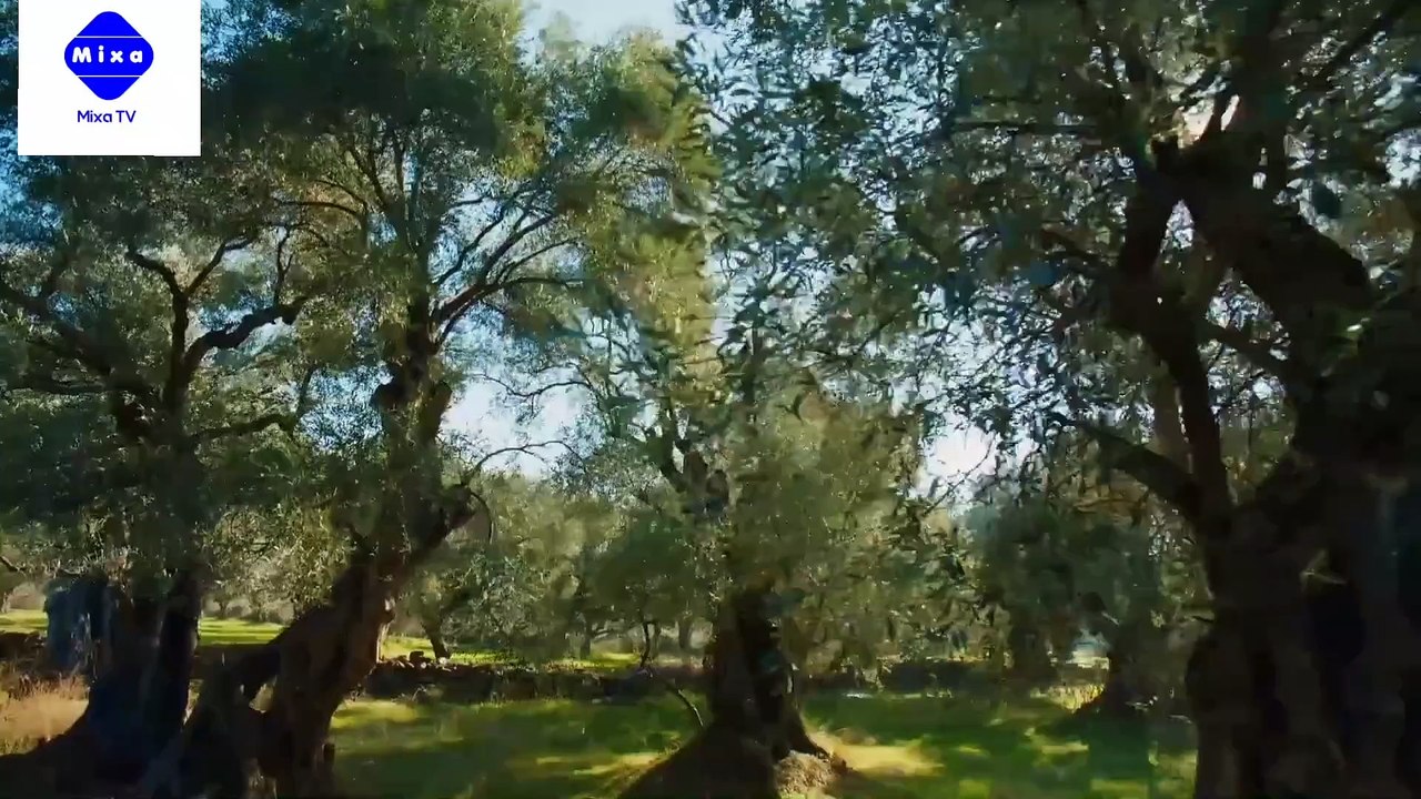 الحلقة 2 القسم الأول
