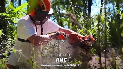 Bûcheron : un métier à hauts risques