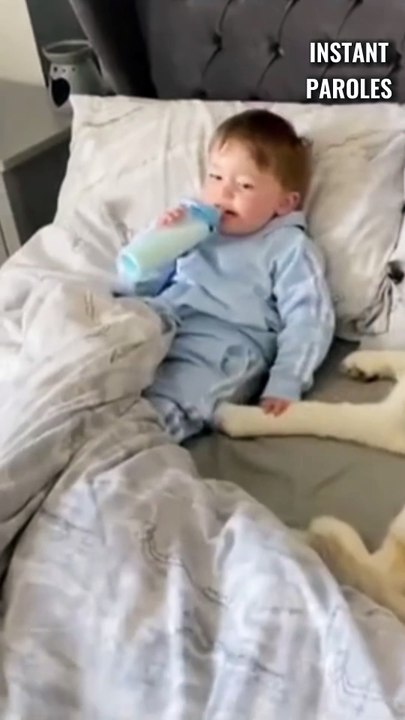 Ce chien décide de rester auprès de ce petit garçon pour prendre soin de lui