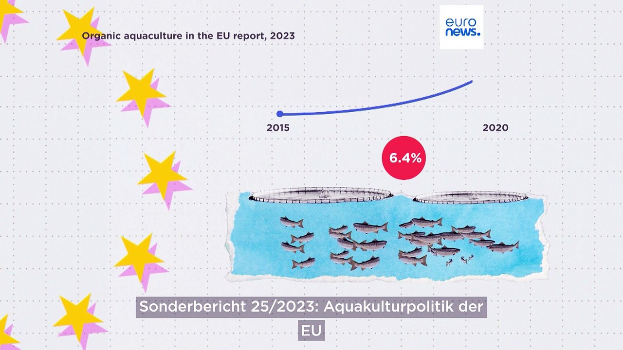 Ökologische Fischzucht: Welche EU-Länder sind die Vorreiter?