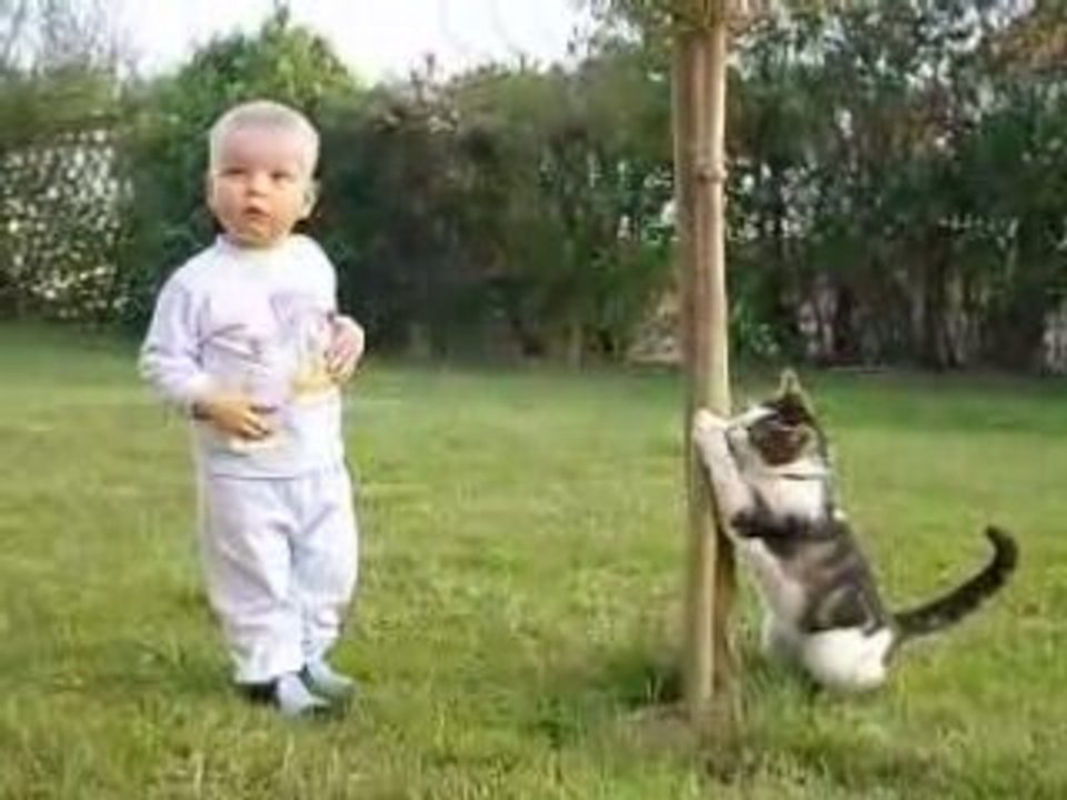 Léo et le chat