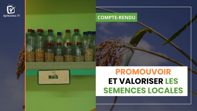 Burkina Faso : Promouvoir et valoriser les semences locales
