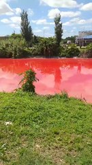 Arroyo Sarandí, rojo