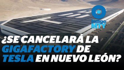 Tesla en Nuevo León: ¿Se construirá la Gigafactory o no? | Reporte Indigo