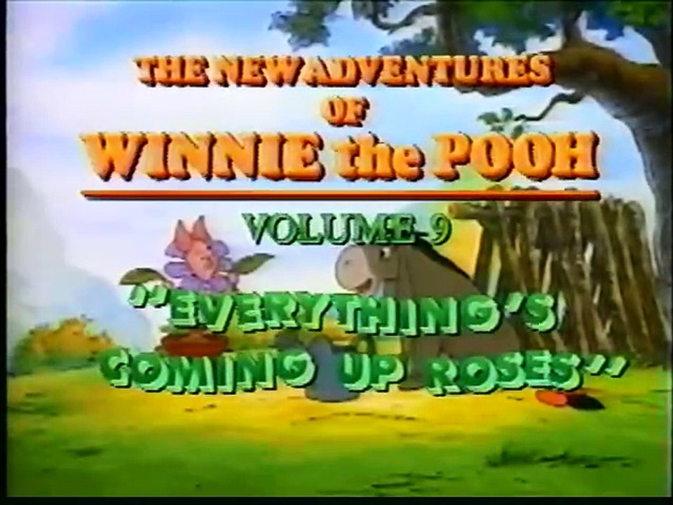 The New Adventures of Winnie the Pooh Volume 09 Intervals