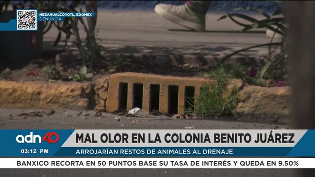 Fuerte olor en la colonia Benito Juárez; arrojarían restos de animales al drenaje en Nezahualcóyotl
