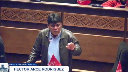 La diputadas Toribia Lero insulta a su colega Héctor Arce