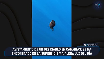 Avistamiento de un pez diablo en Canarias: se ha encontrado en la superficie y a plena luz del día