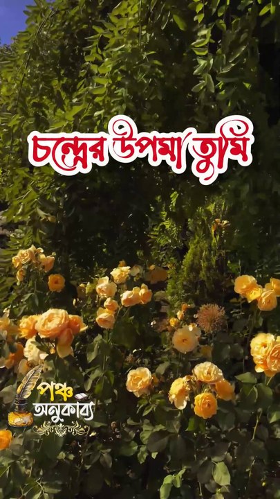 কবিতা | চন্দ্রের উপমা তুমি। সাহাদত হোসাইন সাদিক। Pancha Anukabyo #panchaanukabyo #Romantic #KHOLA_CHITHI #reelschallenge
