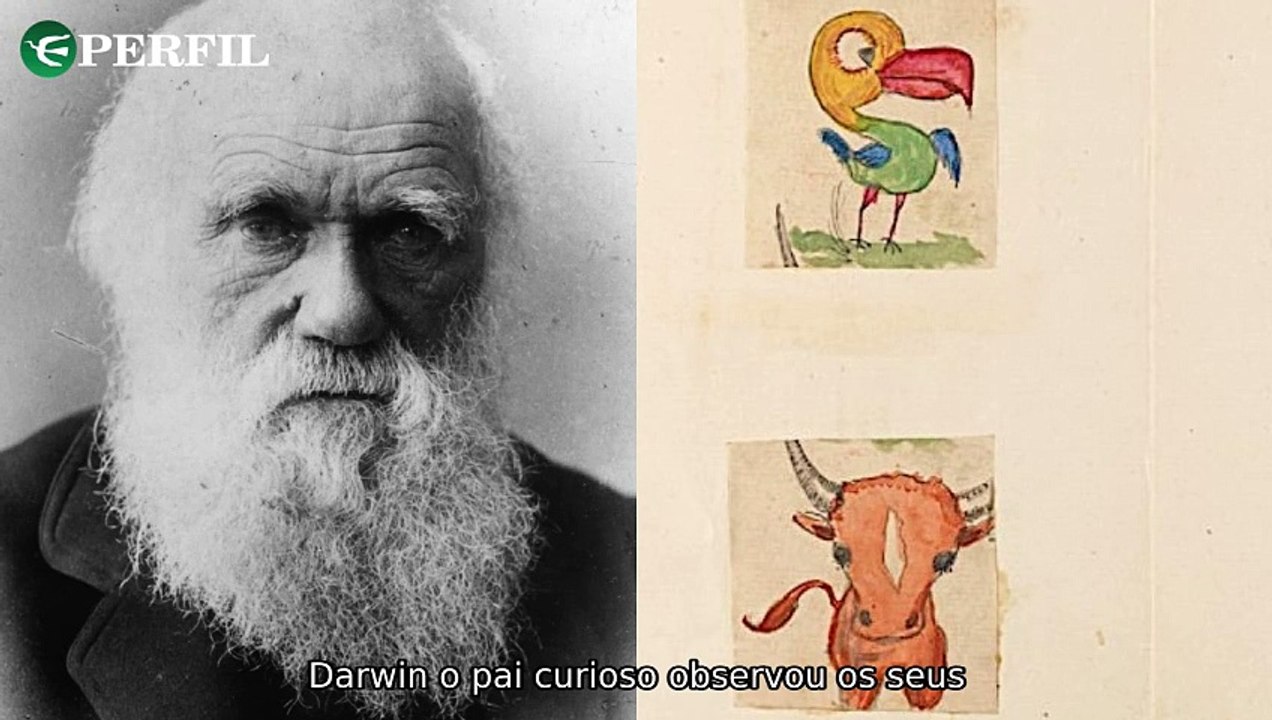 "Desvendando mistérios: os segredos dos desenhos de Darwin, a advogada Eunice Paiva e a influencer do vinagre de maçã"
