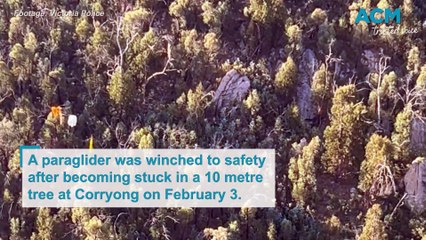 Paraglider saved after becoming stuck in 10m tree