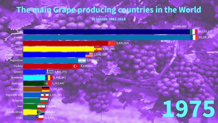 10 - The main Grape producing countries in the World