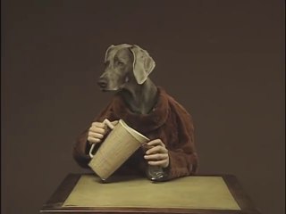 William Wegman - Alphabet Soup - Letter M for Milk (1995)