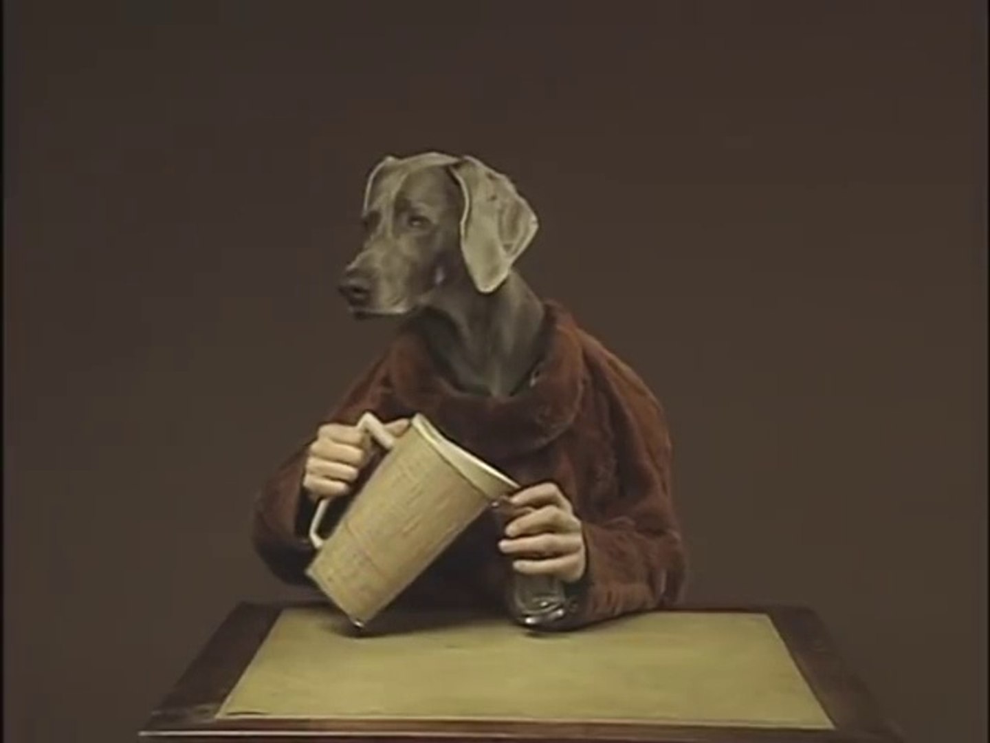 その他 William Wegman's Alphabet Soup [DVD] Amazon.com: William Wegman's Alphabet Soup : Alphabet Soup