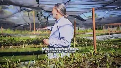 Actividades imperdibles para disfrutar al máximo Manzanillo