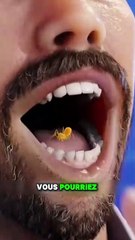 Si tu manges une fourmi