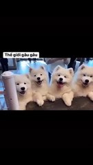 Motivation to sell yourself to capitalists every day