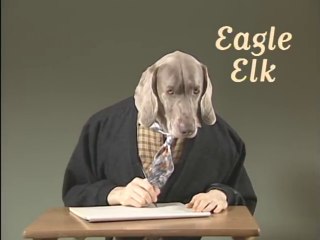 William Wegman - Alphabet Soup - Letter E (1995)