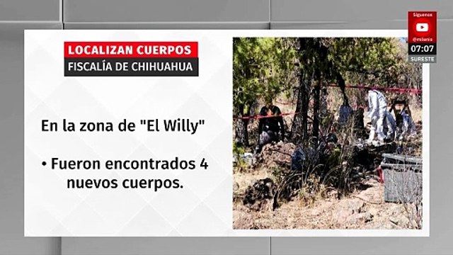Hallan cuatro cuerpos más en fosas clandestinas en El Willy, Chihuahua; suman 76