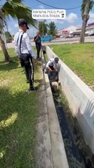 感人！警察大爱精神下沟救助受伤流浪狗 🐶