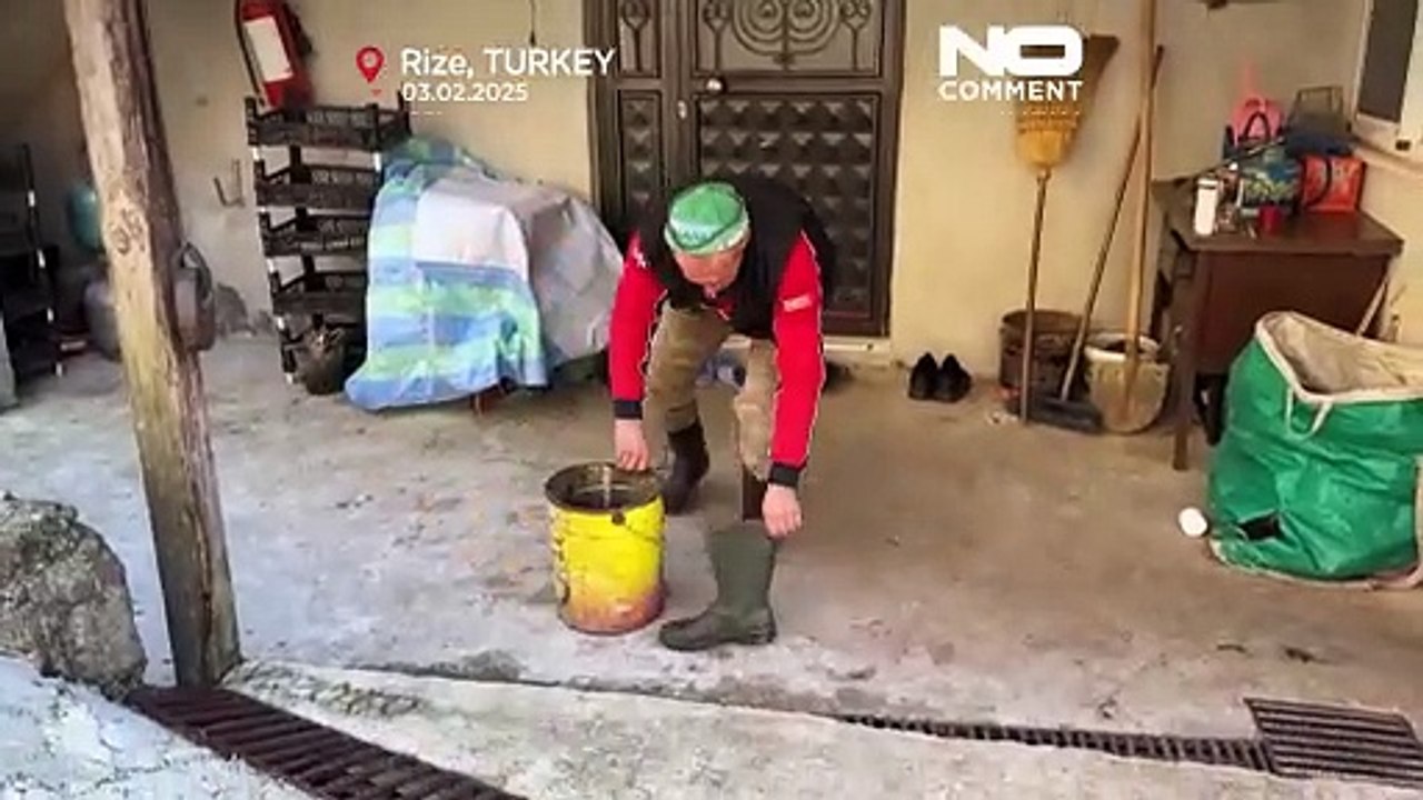 NO COMMENT: El jubilado que convierte botas viejas en macetas en Turquía