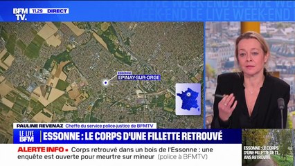 Corps d'une fillette retrouvé dans l'Essonne: un homme et une femme en garde à vue