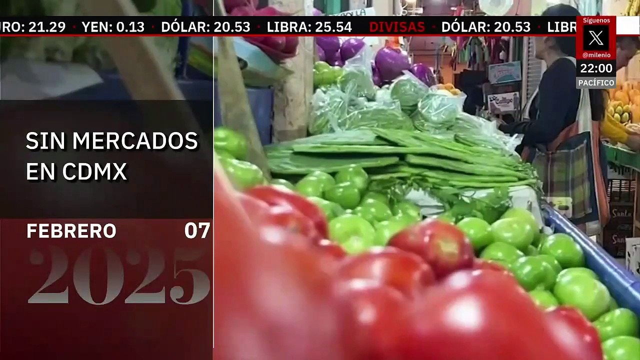 Cae avioneta sobre autobús en Brasil, hay 2 fallecidos. Paola Barquet, 07 de febrero 2025
